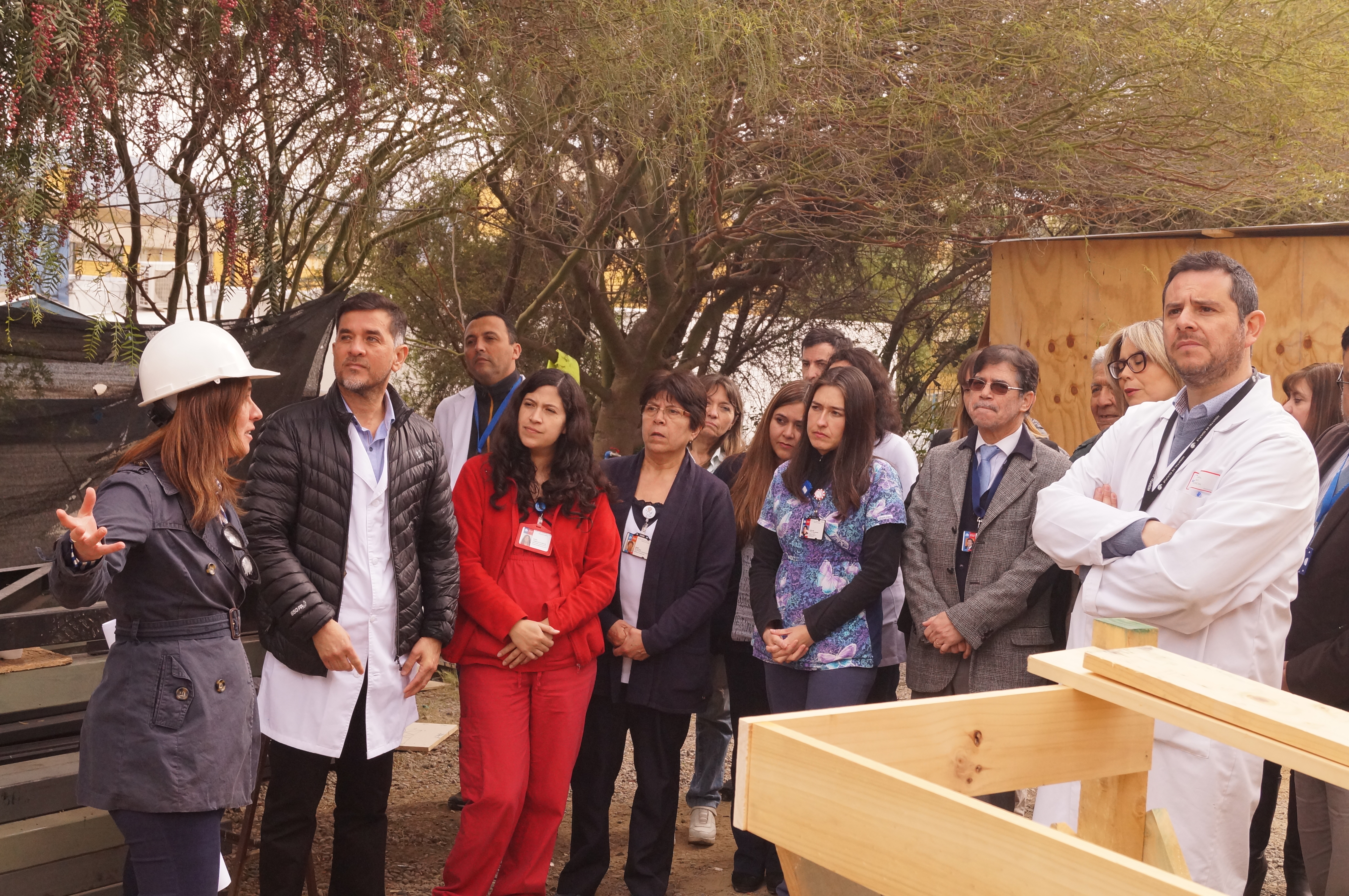 Imagen foto_00000002